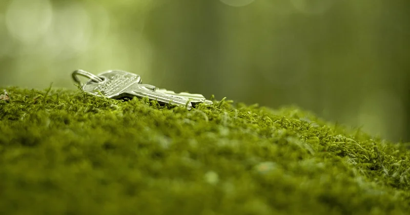 Le code FreeRealEstate : emménager gratuitement